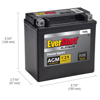 EverStart Platinum BOXED AGM Power Sport Battery, Group Size TX14L 12 Volt, 200 CCA