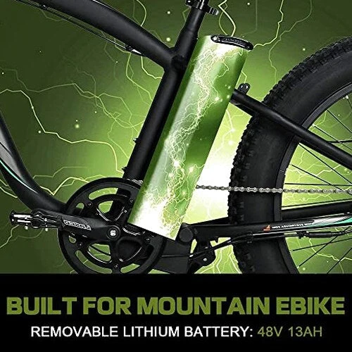 ECOTRIC Adult Electric Bike 26 x 4.0 in Fat Tires, 750W, 48V 13AH - Hammer - Image 7 ECOTRIC Adult Electric Bike 26 x 4.0 in Fat Tires, 750W, 48V 13AH - Hammer - Image 7