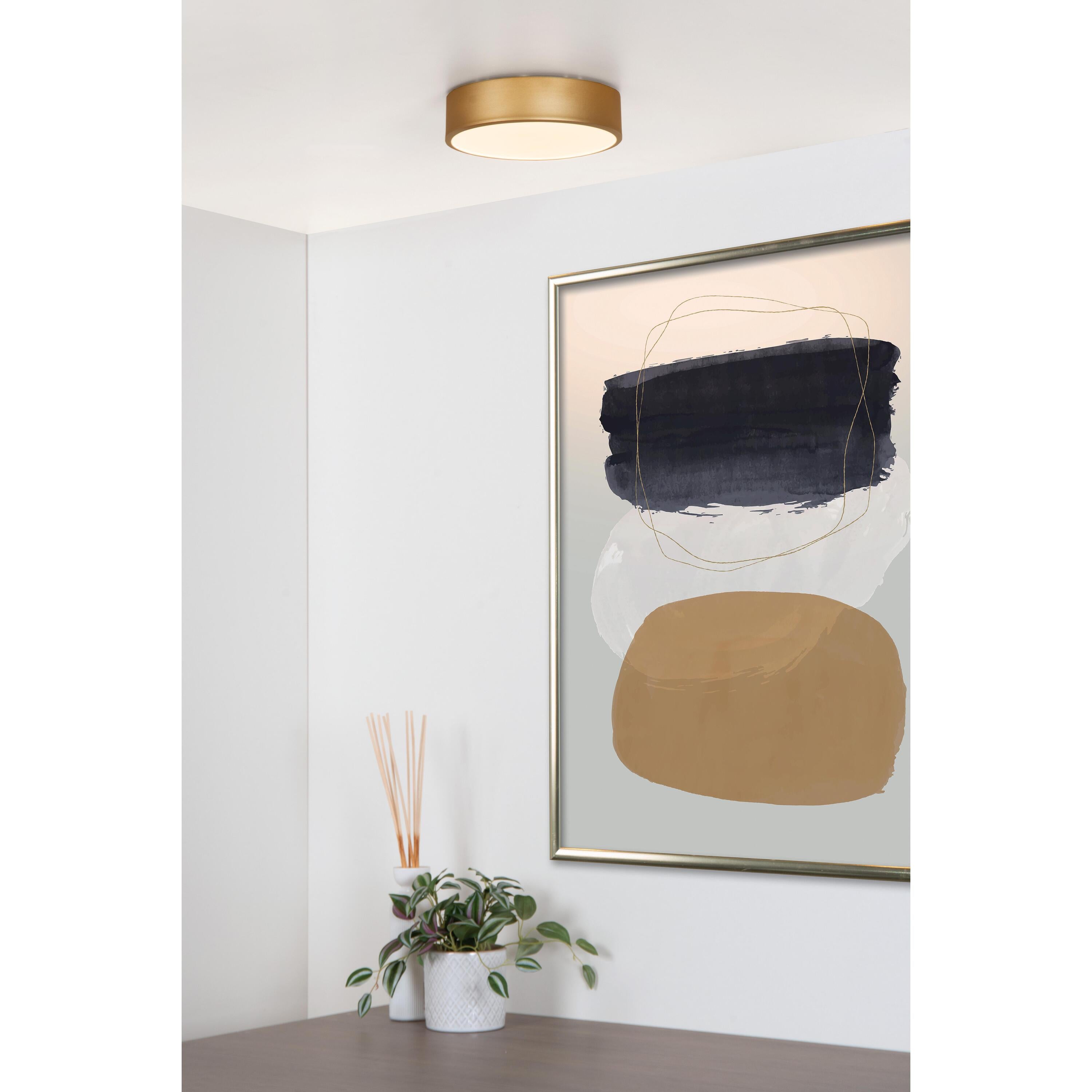 Unar plafondlamp LED Ø20 zwart