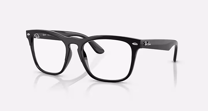 Ray-Ban STEVE OPTICS