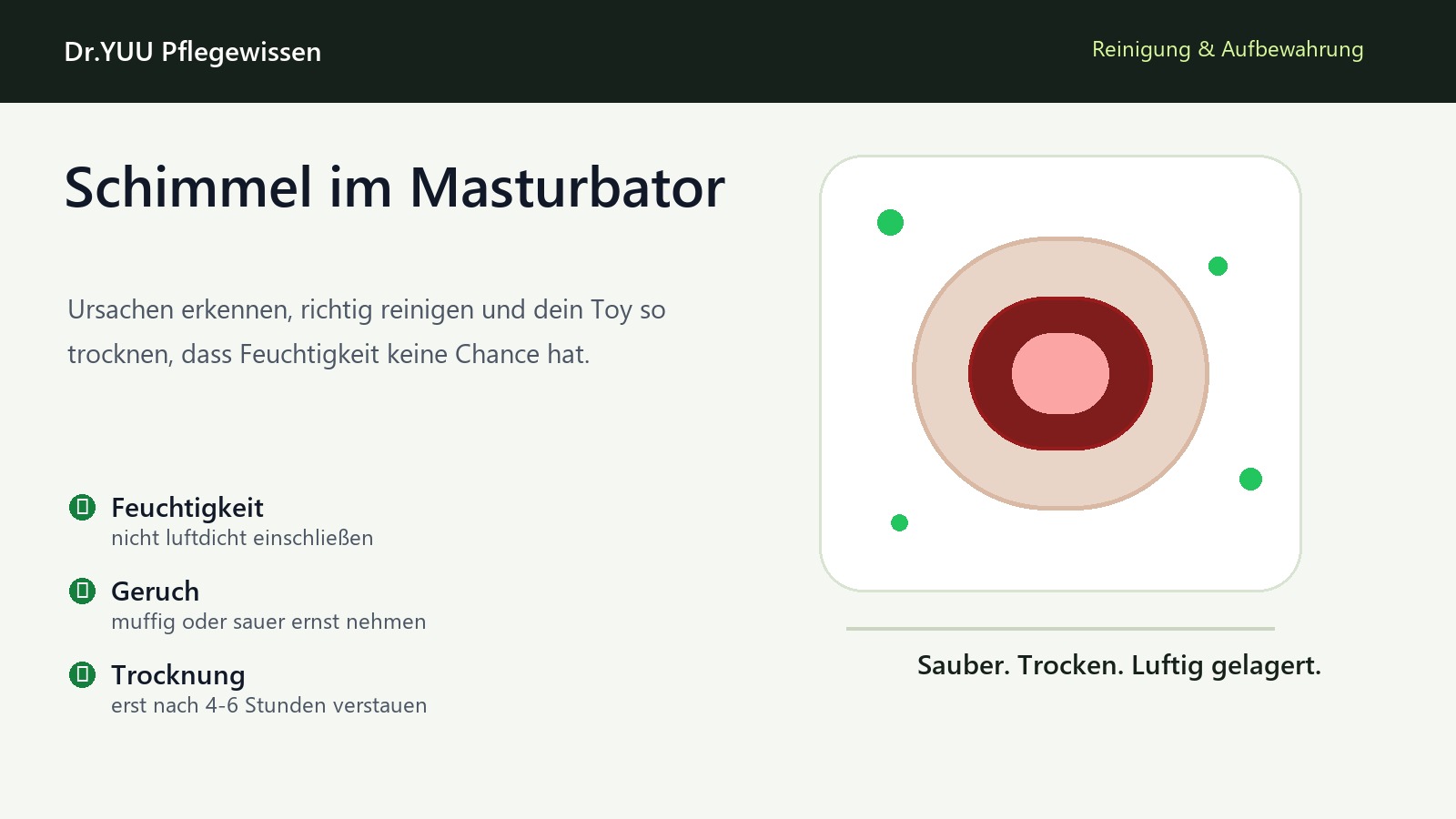 Schimmel im Masturbator erkennen, reinigen und vermeiden