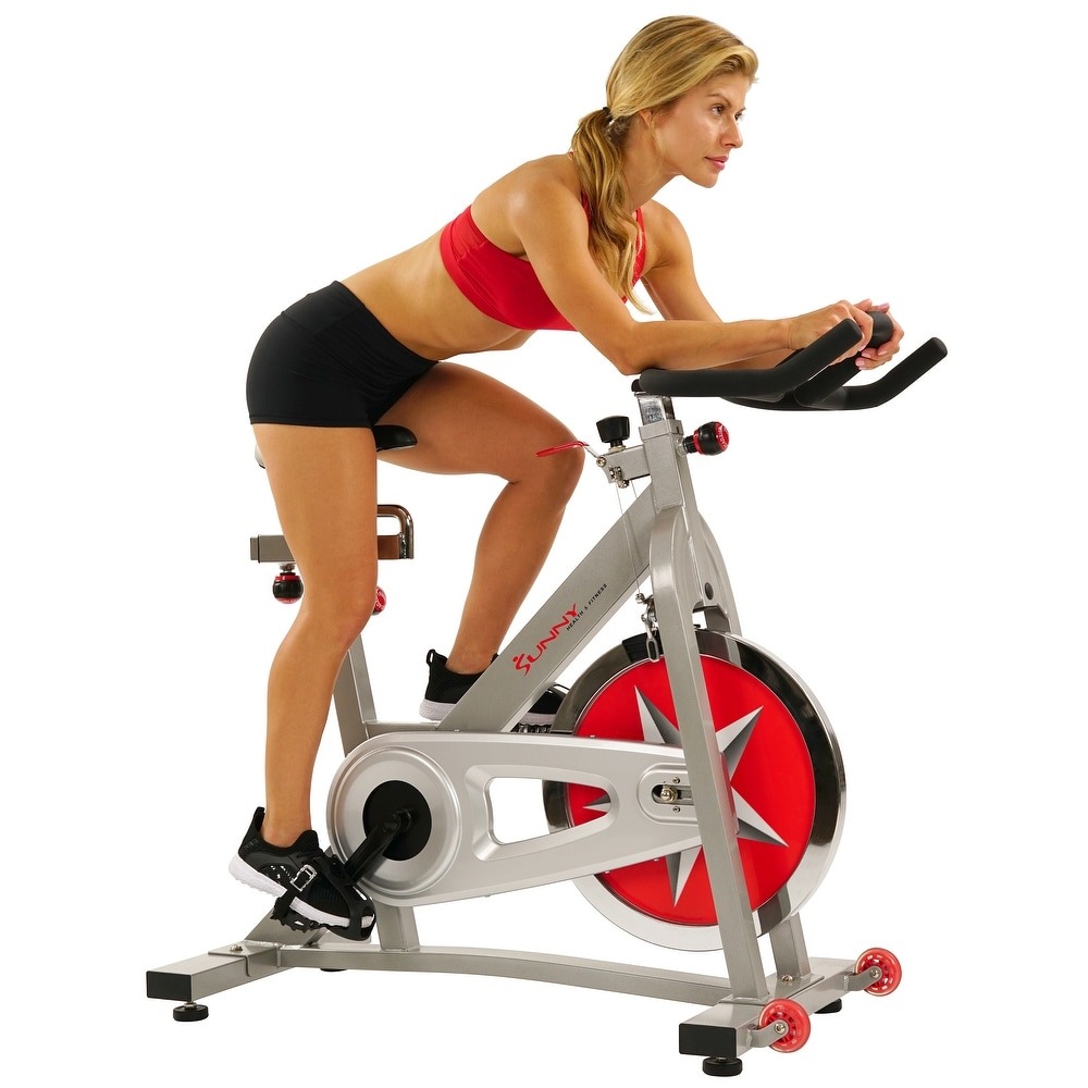 WAYFAIR Sunny Pro Indoor Cycling Bike