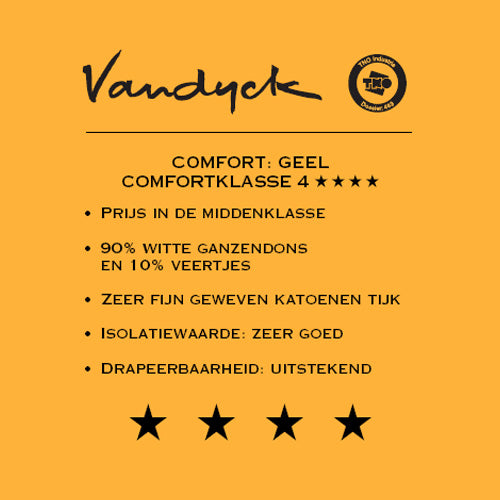Vandyck Astro 90 4-seizoenen Dekbed 240 x 220 cm