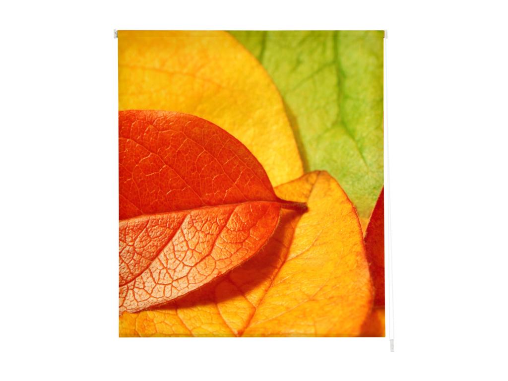 Pratcas | Estores Personalizados FLORES y PLANTAS | 130 x 180 cm (Ancho por Alto) Tamaño de Tela 127 x 175 cm | Modelo F-1559 Color Unico