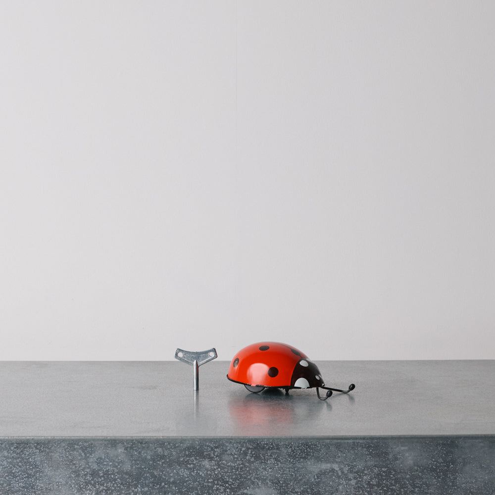 Jouet - Coccinelle Rouge