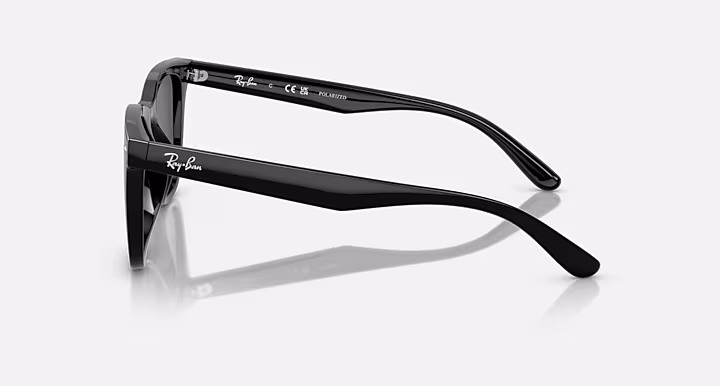 Ray-Ban RB4391D