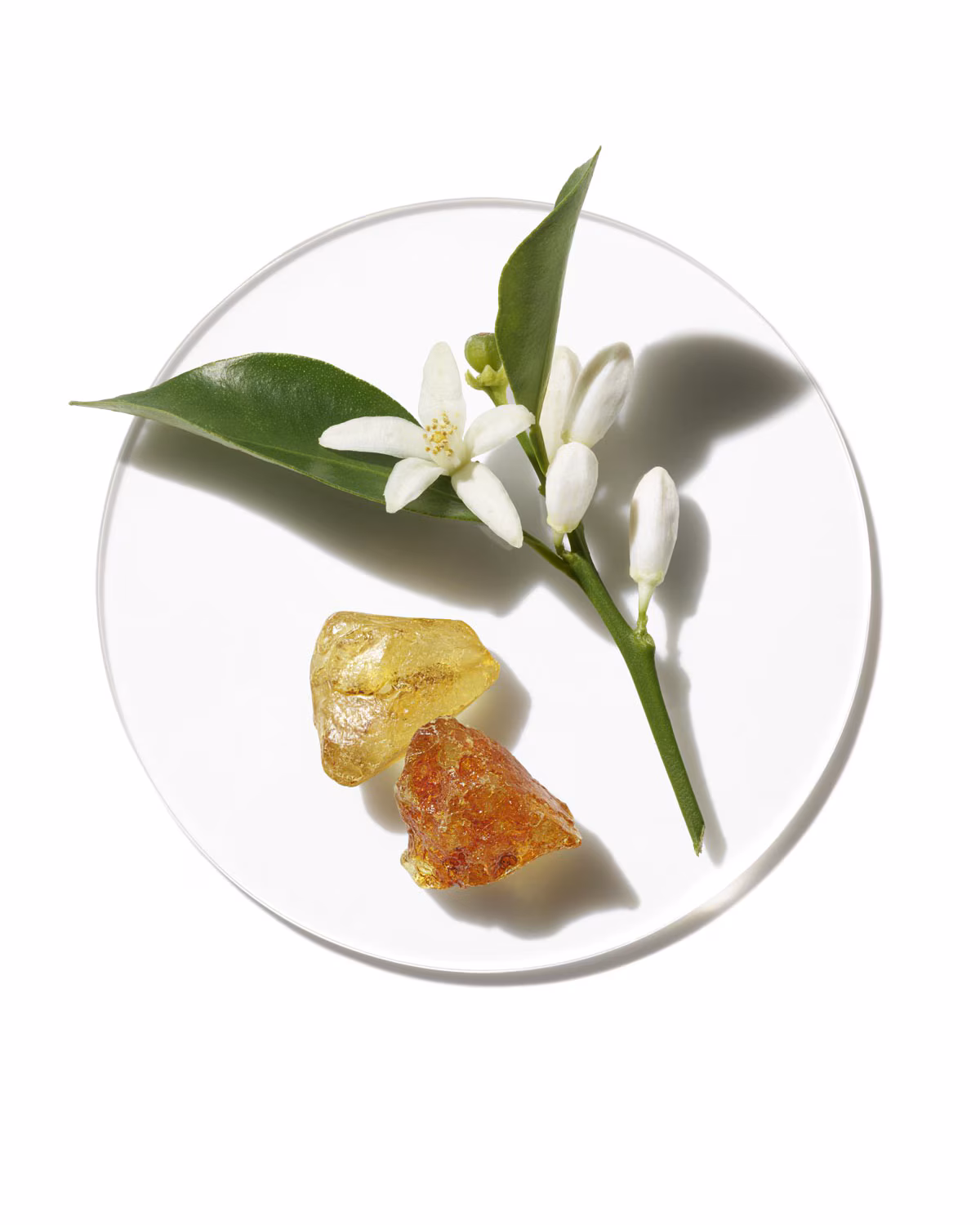Aromatics in White Fragrance