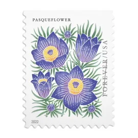 2022 Mountain Flora Forever Postage Stamps Booklet First-Class Postage(5 Booklets of (100 Pcs))