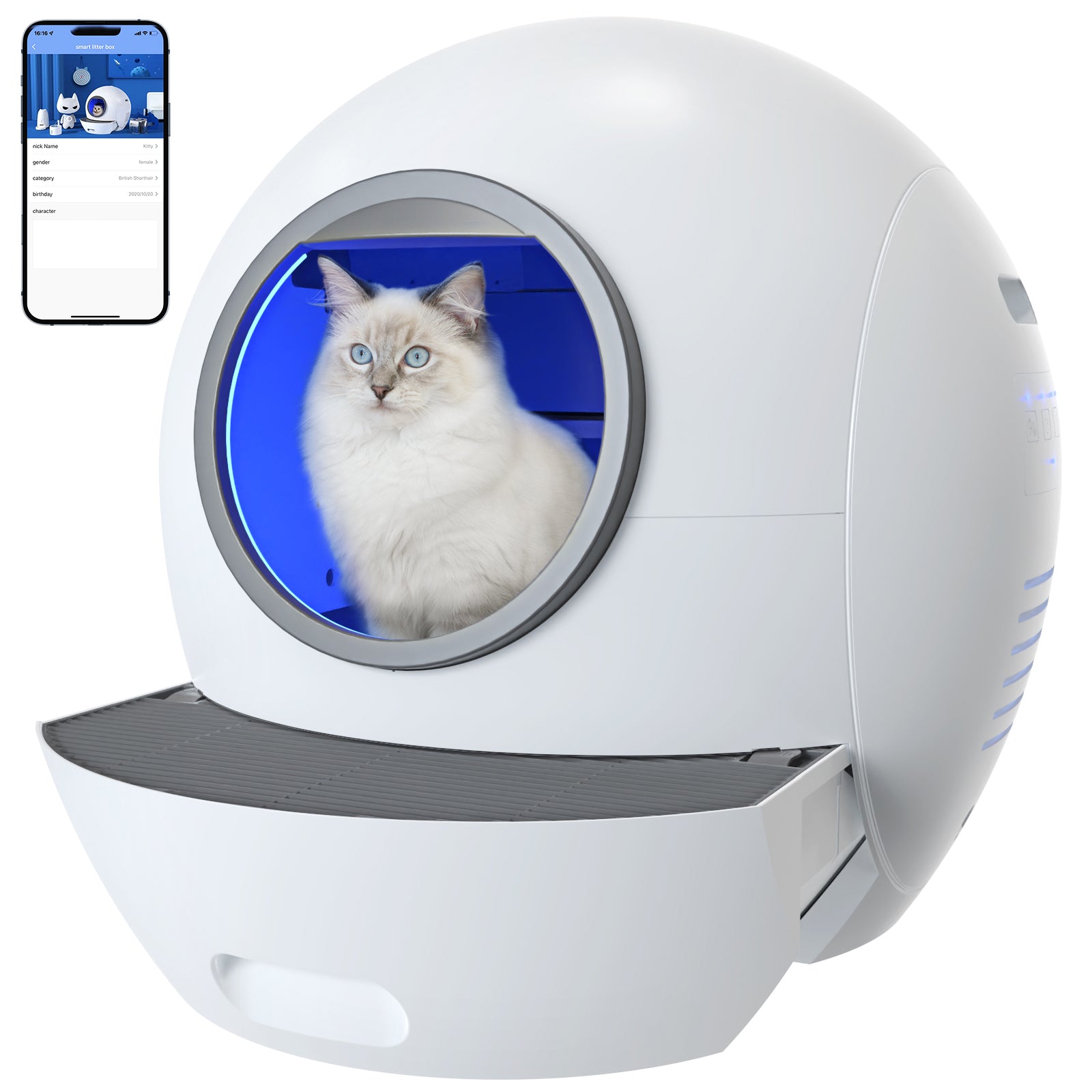 WAYFAIR Self Cleaning Cat Litter Box, Automatic Cat Litter Box With APP Control Odor Removal Safety Protection For Multiple Cats