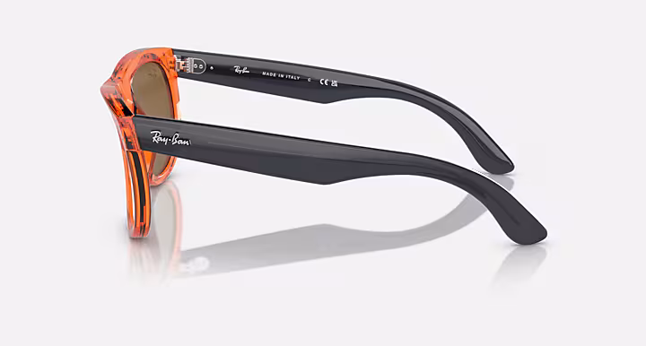 Ray-Ban WAYFARER REVERSE
