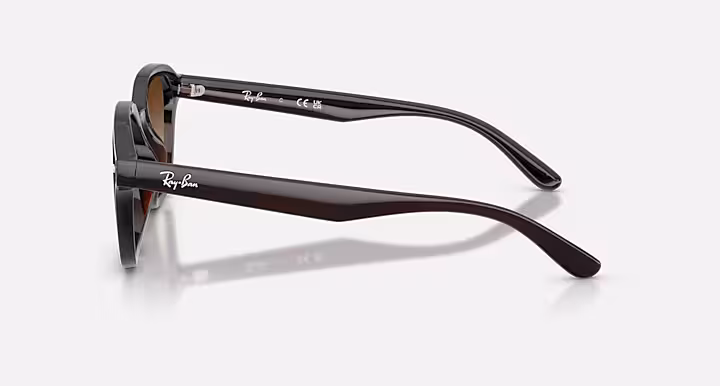 Ray-Ban RB4458D