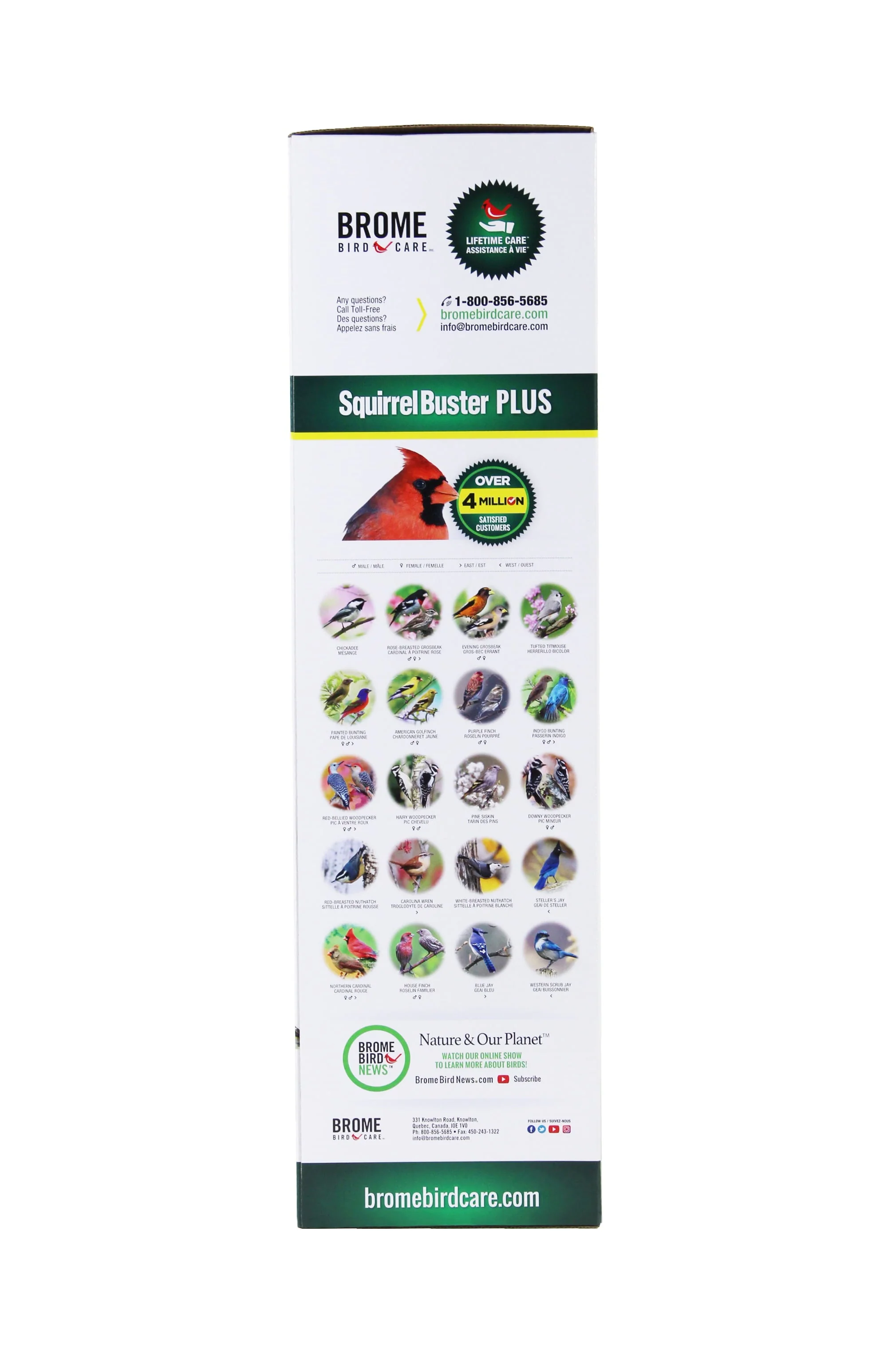 Brome Squirrel Buster Plus Bird Feeder with Cardinal Perch Ring, Squirrel Proof - Image 3