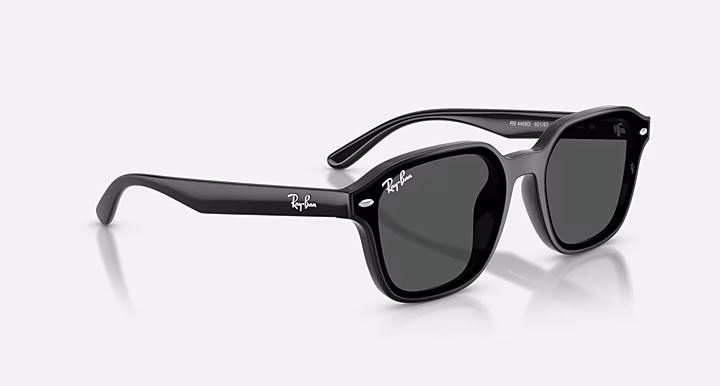 Ray-Ban RB4458D