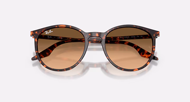 Ray-Ban RB2204
