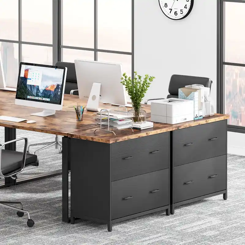 2-Drawer Lateral File Cabinet for Office Organization