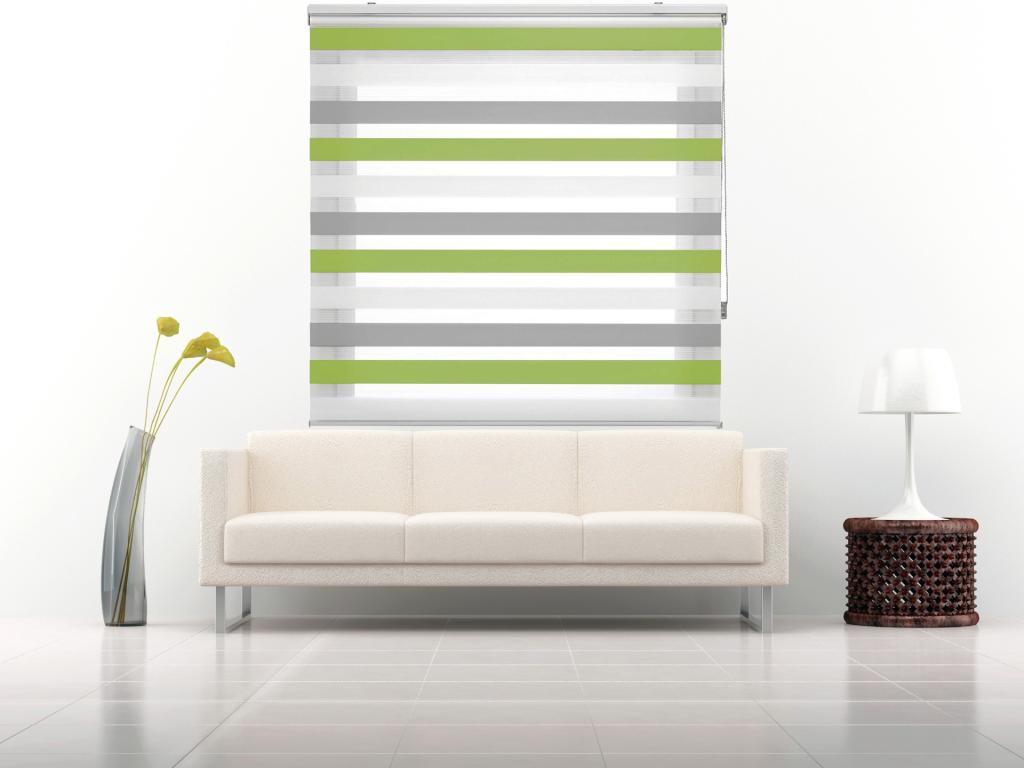 Lujodec | Estor Enrollable NOCHE y DIA | 145 x 180 cm (Ancho por Alto) Tamaño de Tela 142 x 175 cm | Modelo LORAS Color Gris/Verde