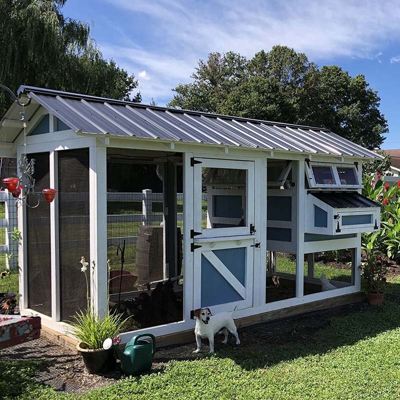 WAYFAIR Outdoor Chicken Coop - 6"X12"X7.5"