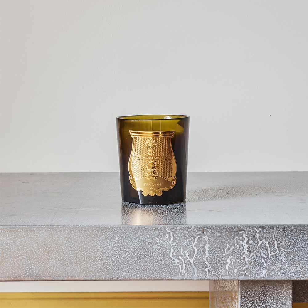 Trudon - Bougie parfumée  270 g - Madeleine