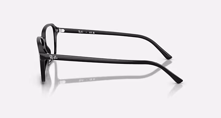 Ray-Ban RAIMOND OPTICS