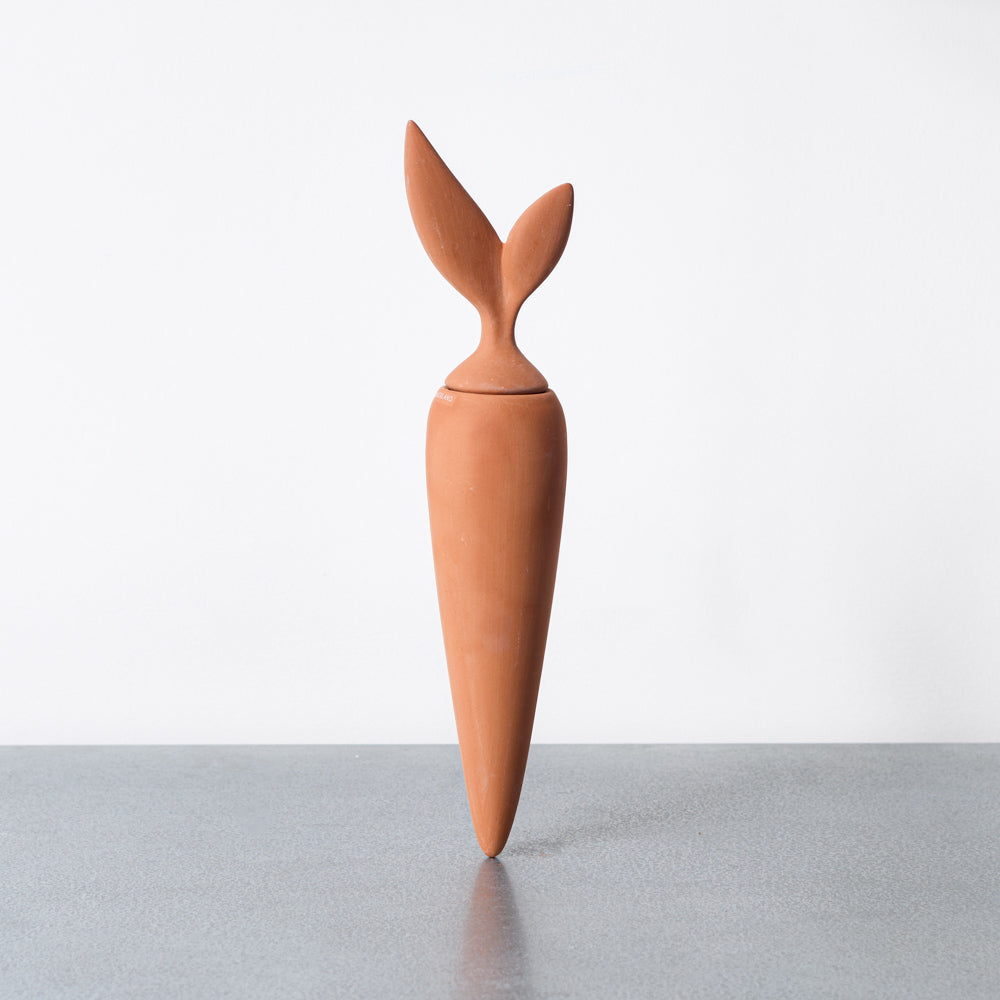 Cone d'arrosage - Carotte