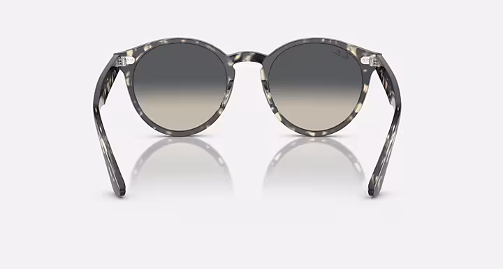 Ray-Ban LARRY