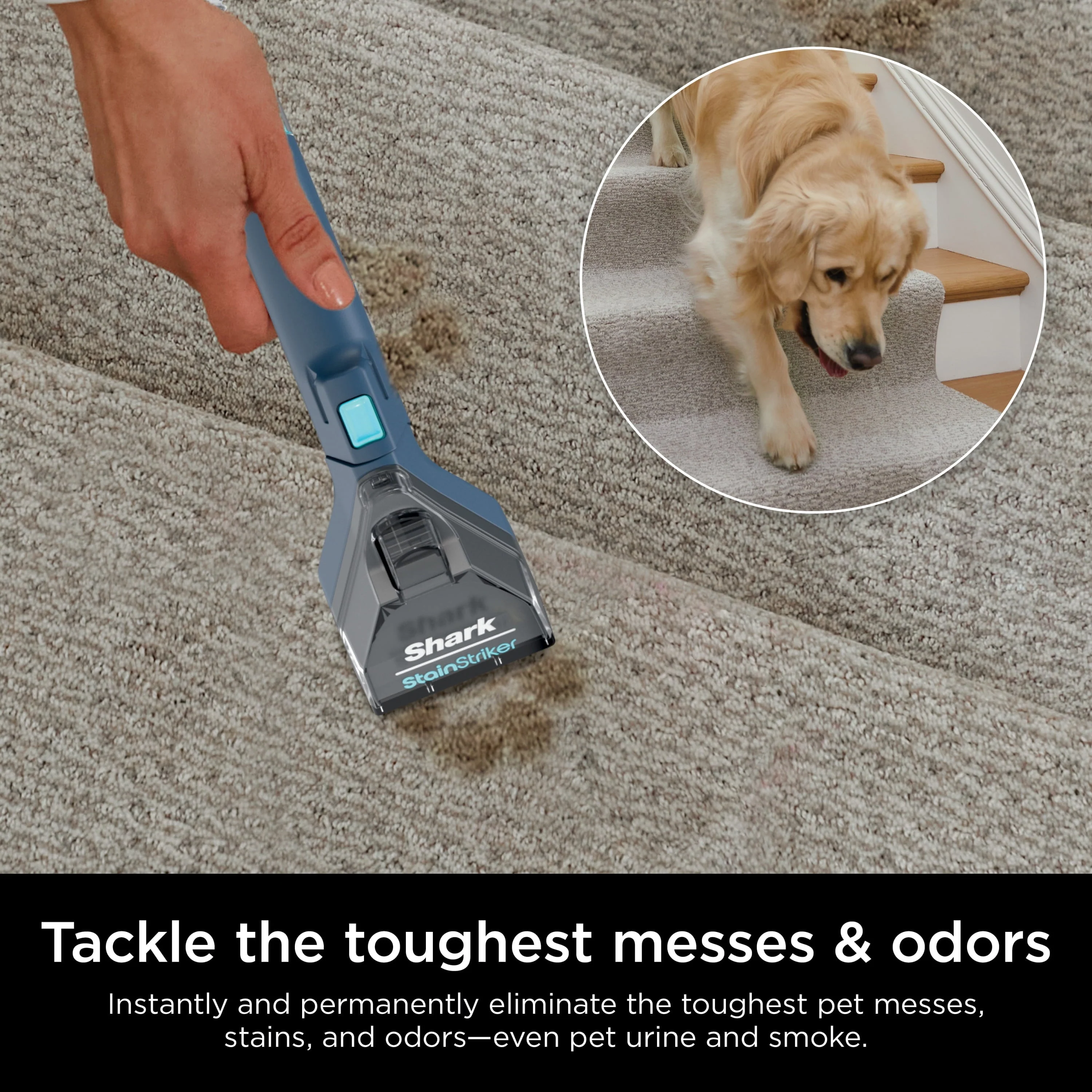 Shark CarpetXpert with StainStriker, Upright Carpet, Area Rug & Upholstery Cleaner for Pets, Built-in Spot & Stain Eliminator, Deep Cleaning & Tough Stain Removal, Carpet Shampooer, Navy, New,EX200 - Image 6