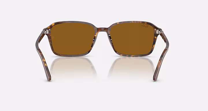 Ray-Ban RAIMOND