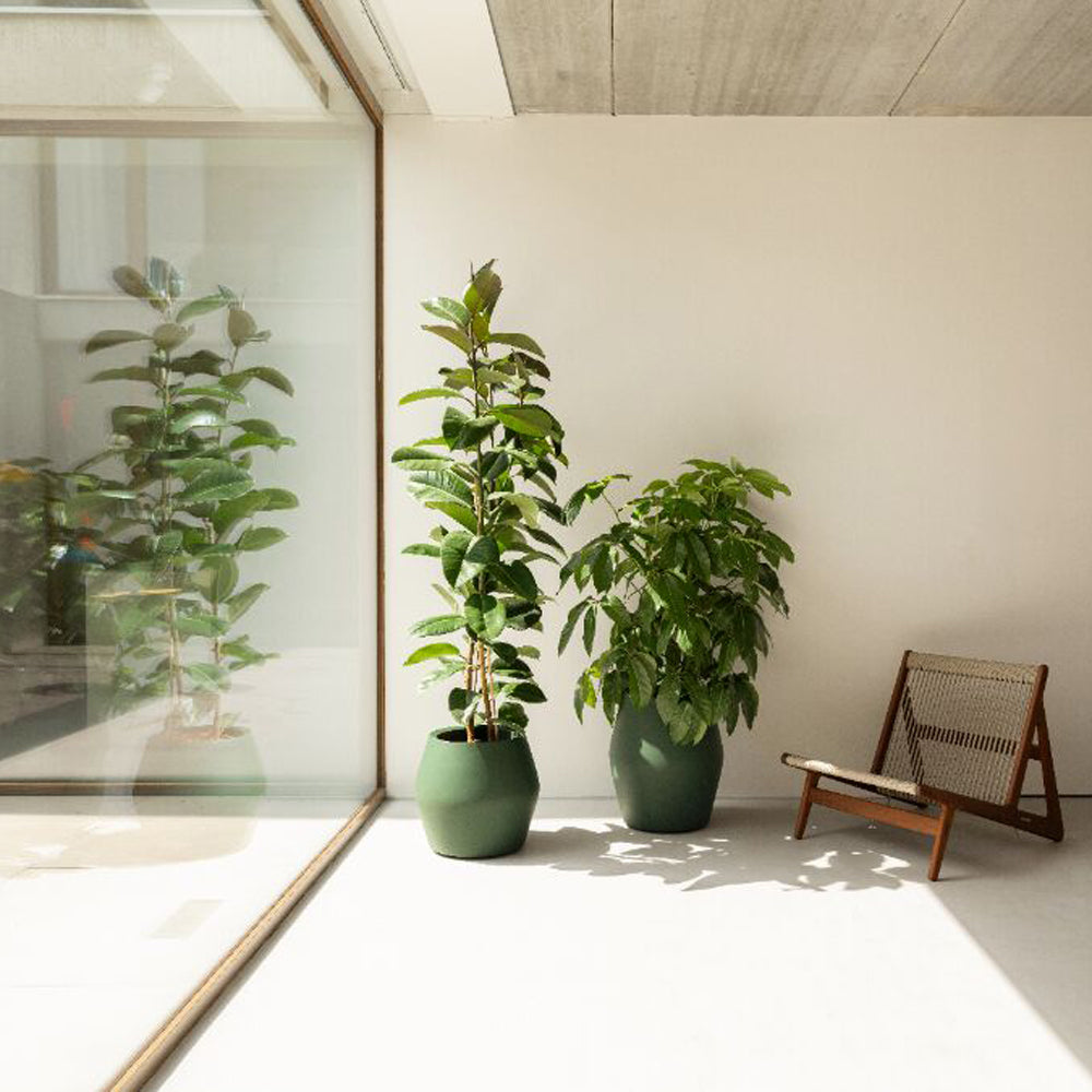 Elho June Split High 46 - Groen - Ø 46 x H 53 cm - Binnen en Buiten -