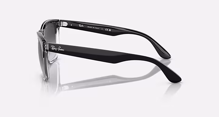 Ray-Ban STEVE