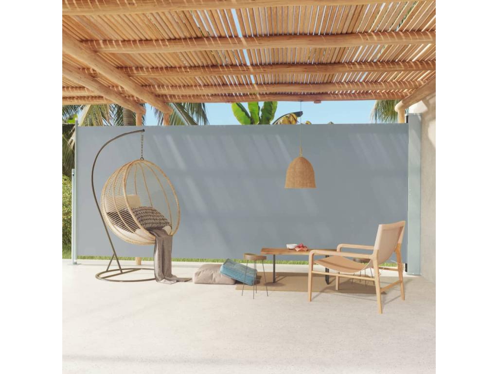 Toldo de terraza lateral retráctil 220x600 cm Gris