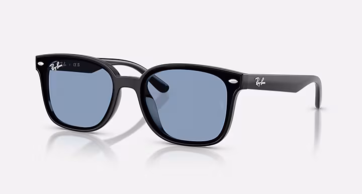 Ray-Ban RB4461D