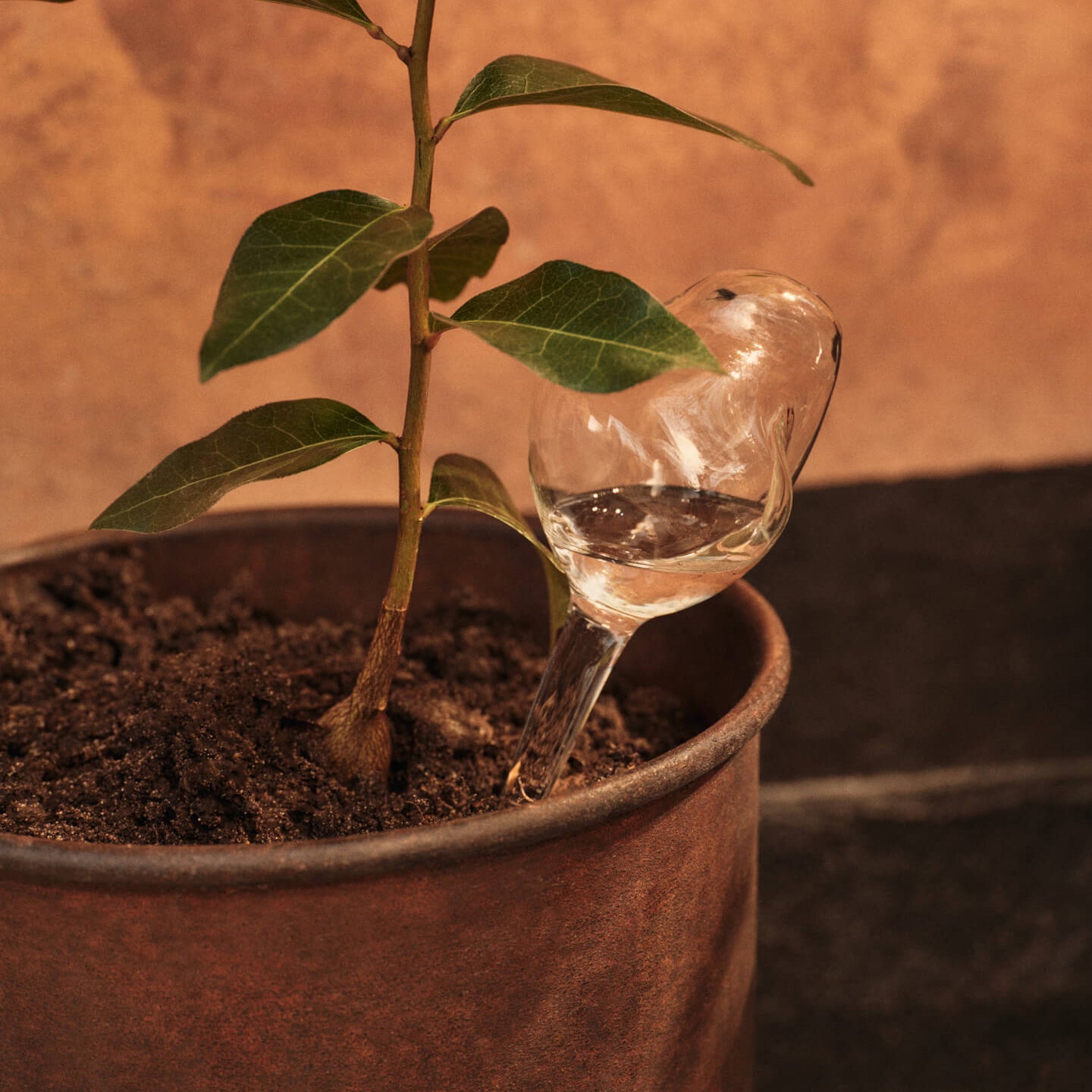 Ferm Living Mercury Waterbollen Small - Set van 2 - Clear