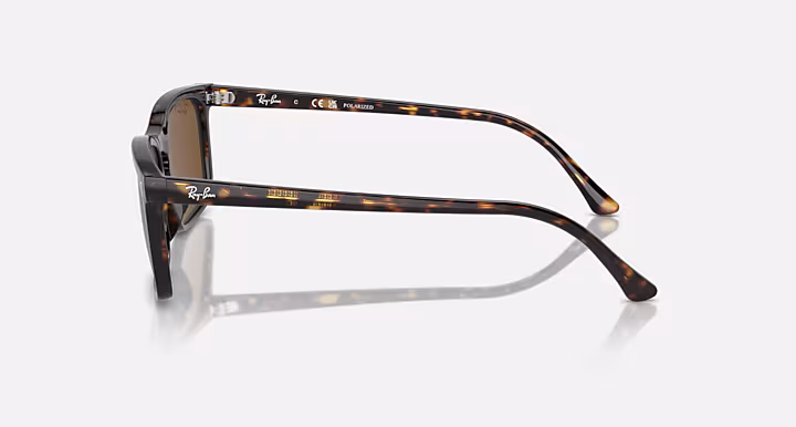Ray-Ban RB4435