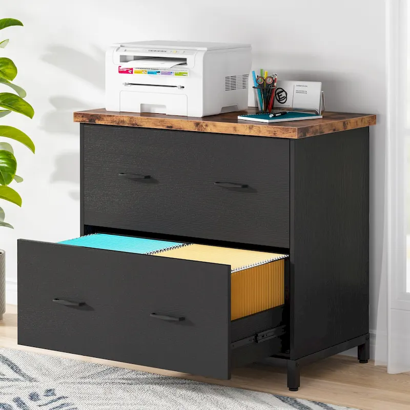 2-Drawer Lateral File Cabinet for Office Organization