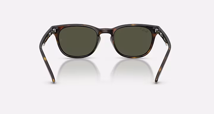 Ray-Ban RB4140