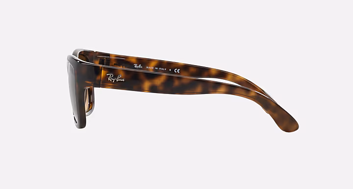 Ray-Ban RB4194