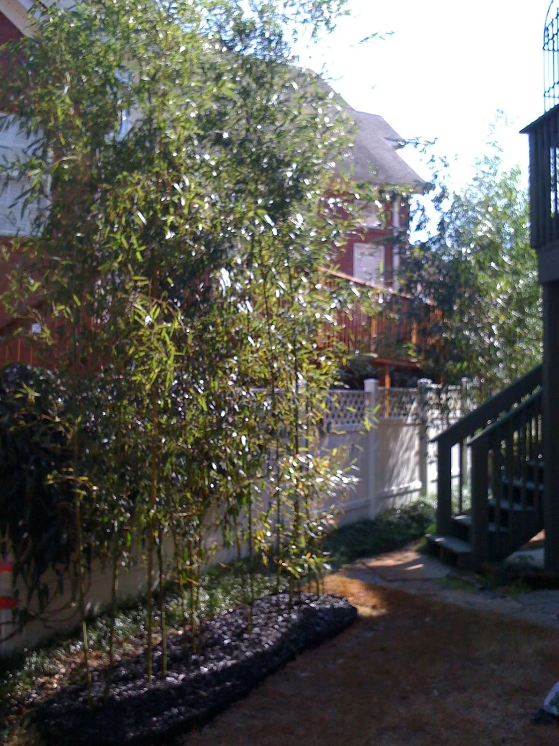 40 feet Long x 24 inch x 60 mil - Bamboo Root Barrier/Water Barrier - Image 10