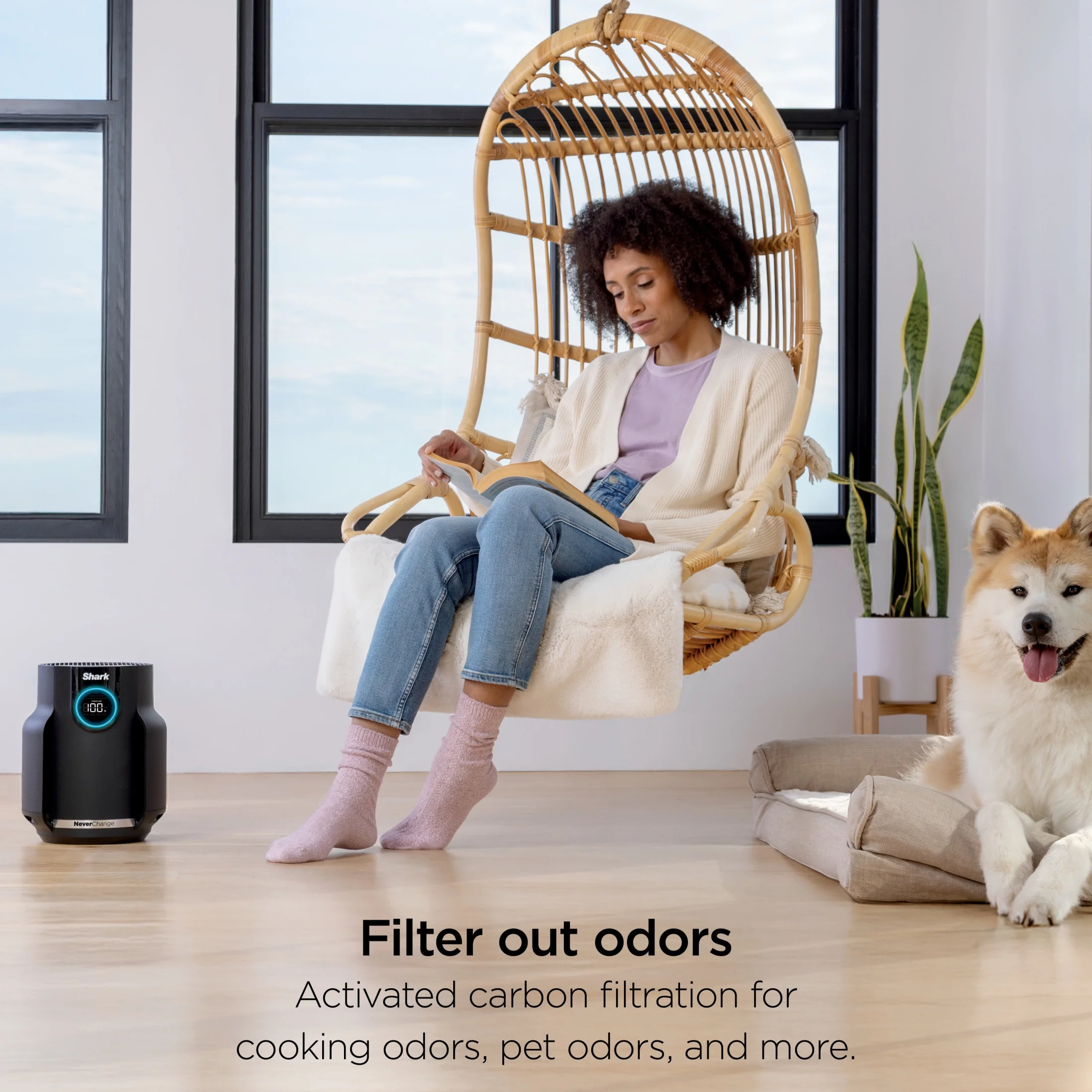 Shark NeverChange Air Purifier Compact Pro, HEPA Filter, HP070 - Image 8