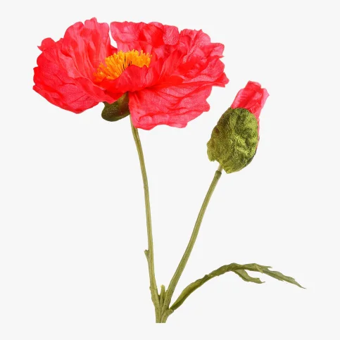 Blumen