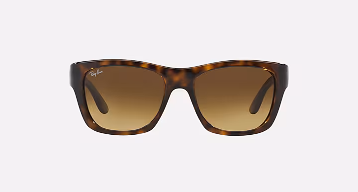 Ray-Ban RB4194