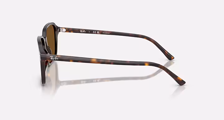 Ray-Ban RAIMOND