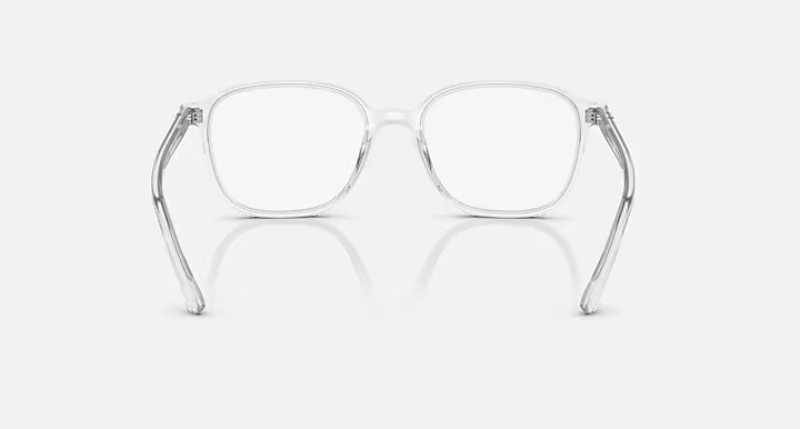 Ray-Ban LEONARD TRANSITIONS®