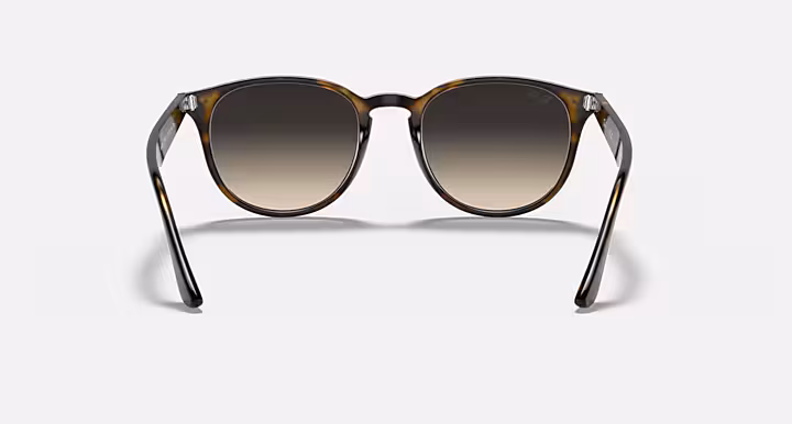 Ray-Ban RB4259