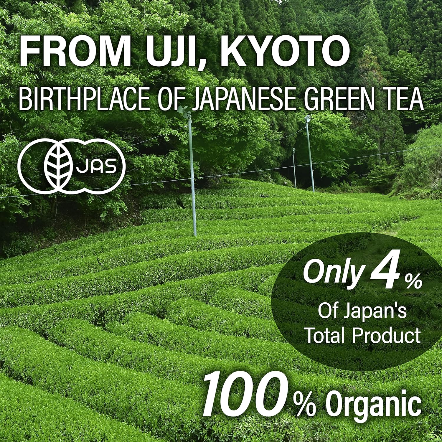 YAMASAN KYOTO UJI Sencha Green Tea Loose Leaf, JAS Certified Organic Japanese Tea from Uji, Kyoto, 80g Bag, Sencha Tea, Loose Leaf