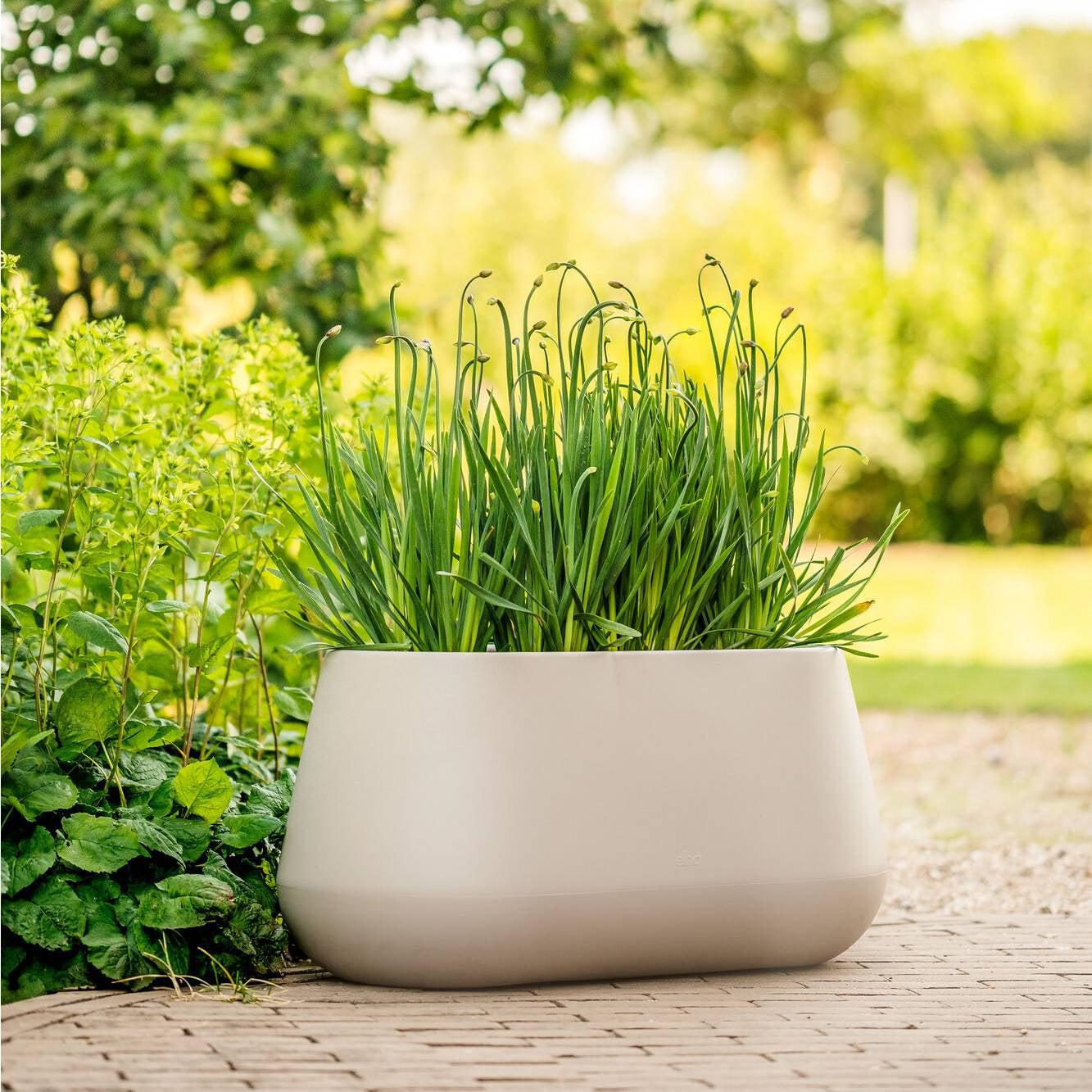 Elho Pure Cone Long Wheels 75 - Beige - L 74 x B x H 36 cm - Binnen en