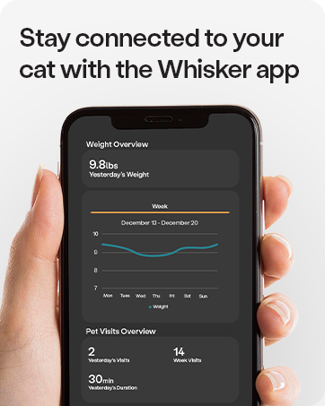 6_Whisker+