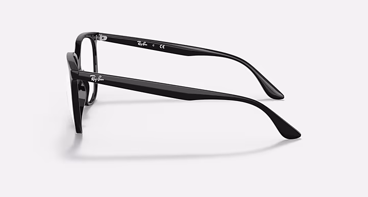 Ray-Ban RB4378V OPTICS