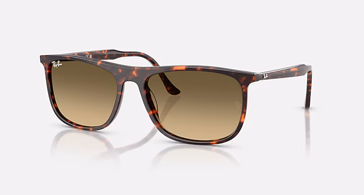 Ray-Ban RB2216