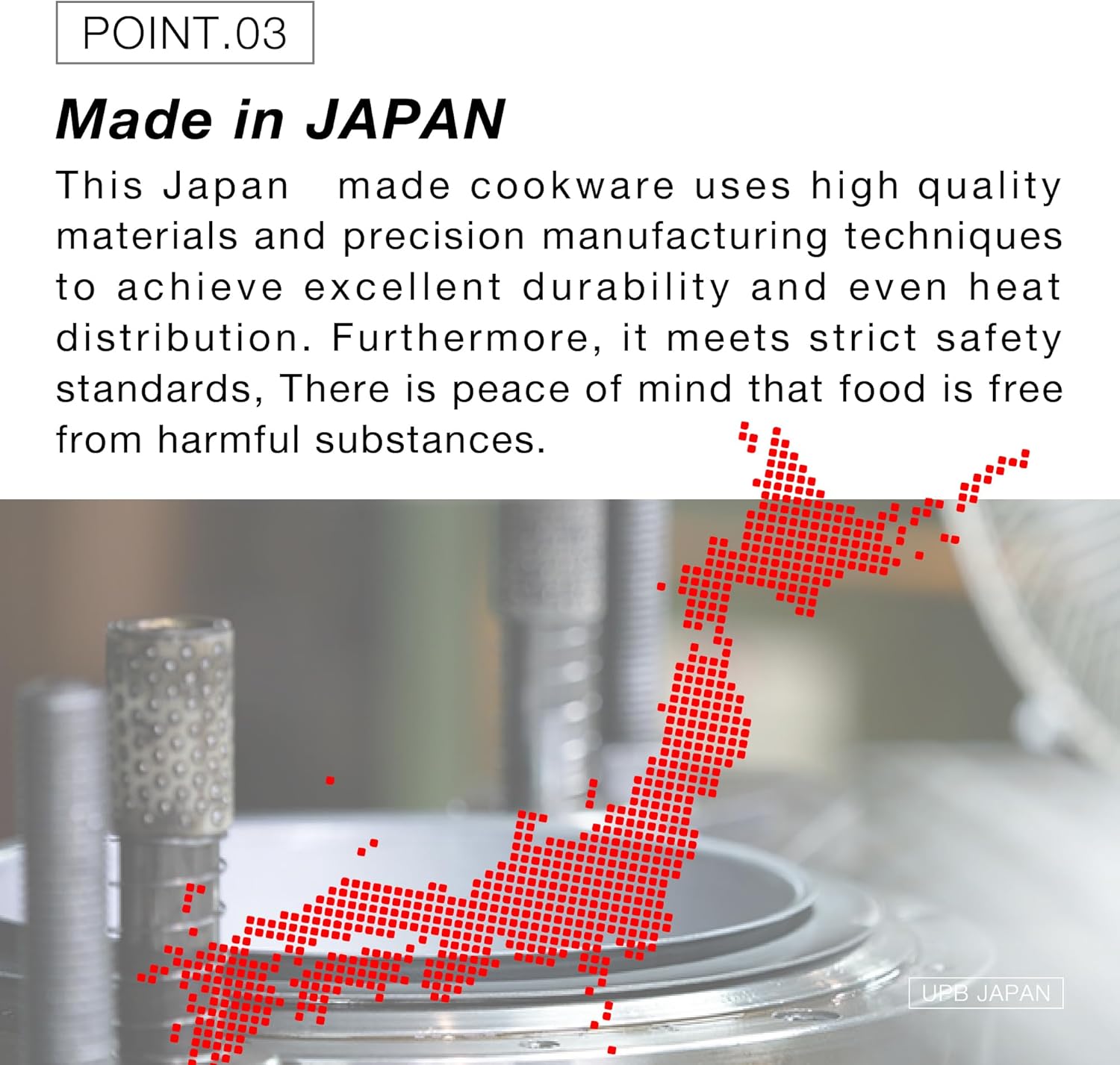 Japanese Wok 10.2
