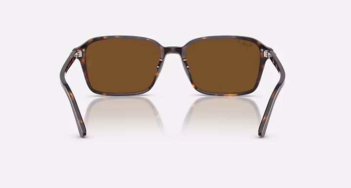 Ray-Ban RAIMOND
